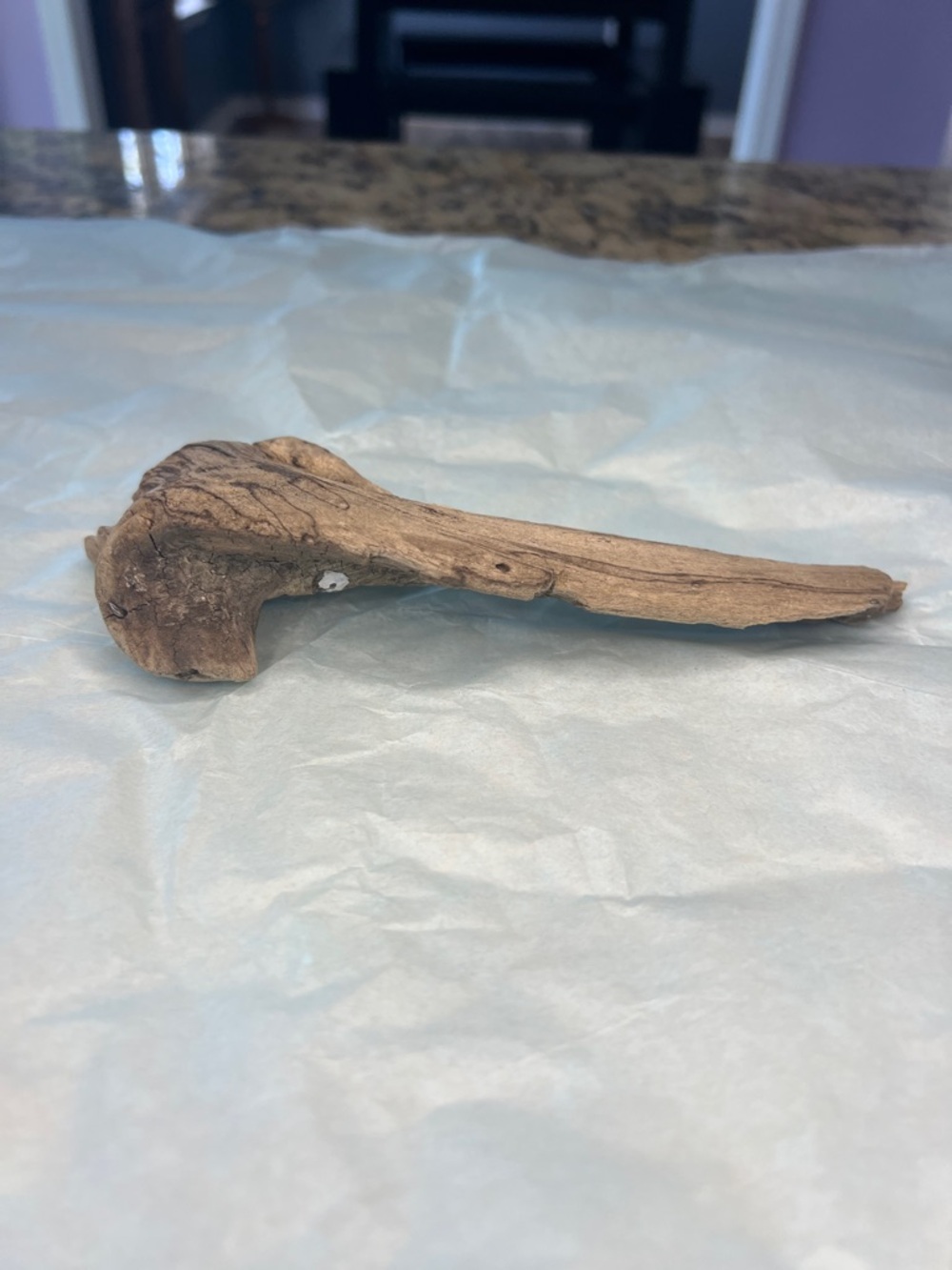 Potomac River Natural Driftwood Piece - Light Brown